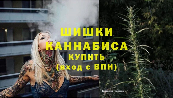 2c-b Коряжма