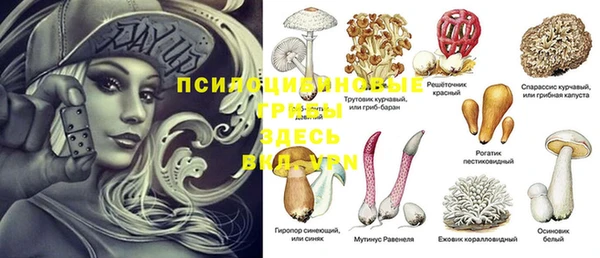 дурь Корсаков