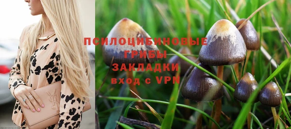 дурь Корсаков