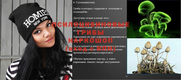 дурь Корсаков