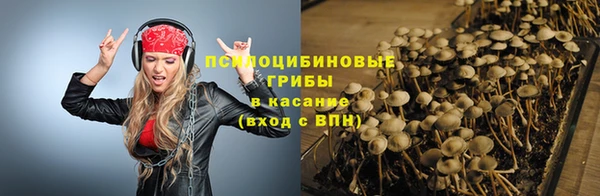 2c-b Костерёво